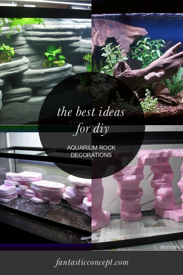 The Best Ideas for Diy Aquarium Rock Decorations Home, Family, Style